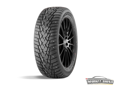 Double Star DW01 195/65 R15 91T