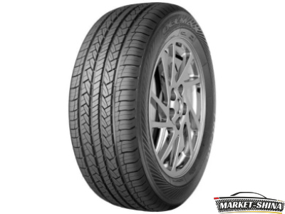Delmax UltimaPro UP1 205/55 R16 91V