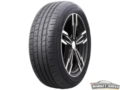 Delmax Ultima Plus 205/55 R16 91V