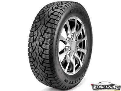 Centara Snow Cutter 205/55 R16 91T