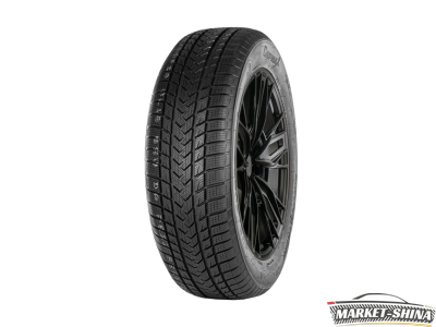 Gripmax SureGrip eWinter 205/45 R17 88V XL