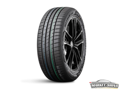 Double Star DH08 195/55 R16 87V